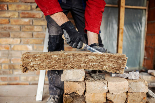 Best Insulation Contractors for Homes  in Melcher Dallas, IA